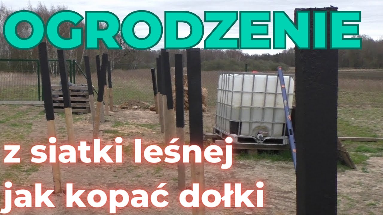 Ogrodzenie z siatki leśnej cz.1 z 5 - jak i czym wykopać dołki pod słupki ogrodzeniowe