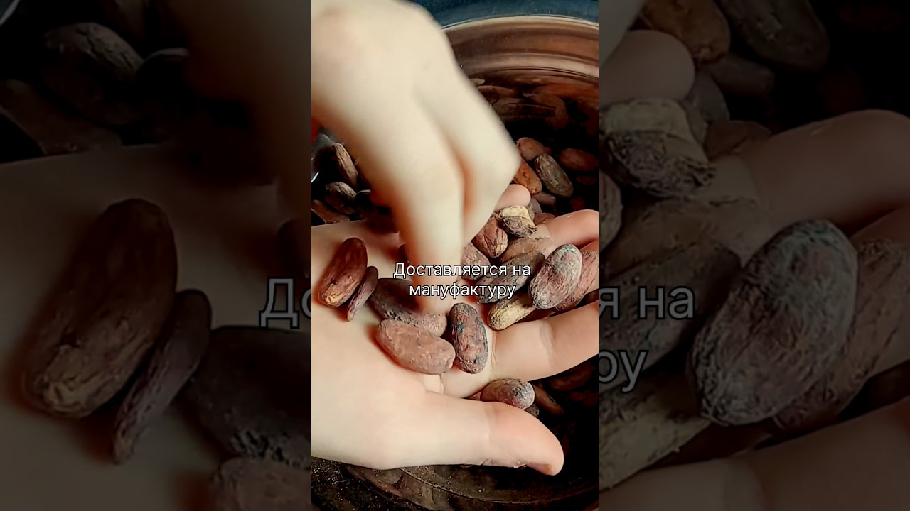 Какао Крутов
