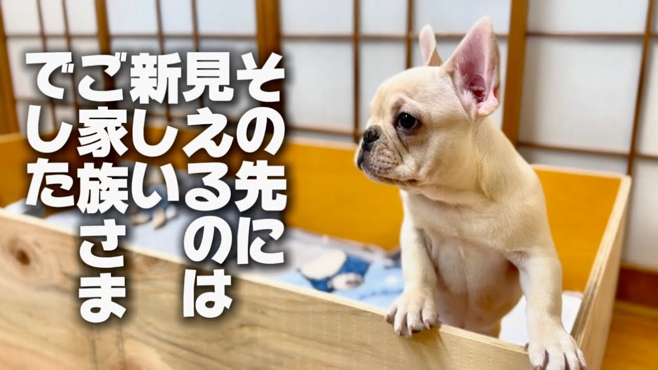 みんなとお別れの時がやってきました。