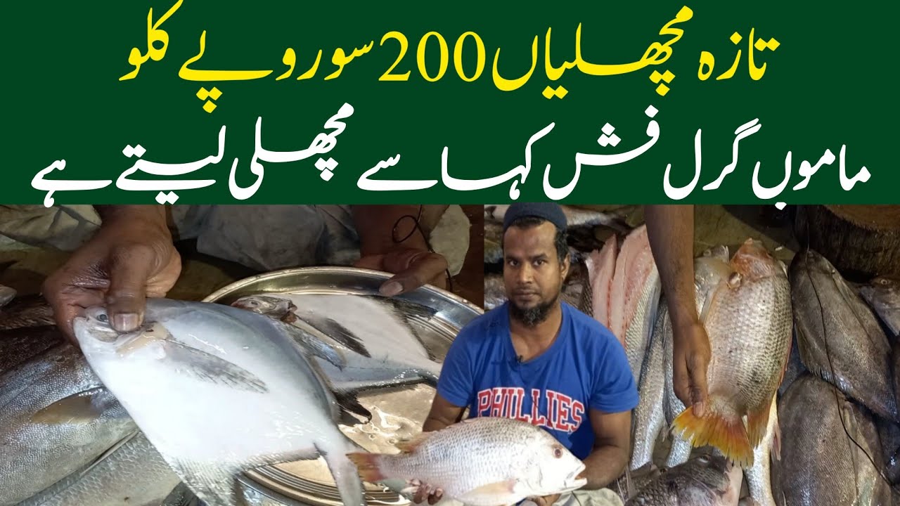 Moosa colony fish Market karachi |Fish Price in karachi |Fish Market karachi