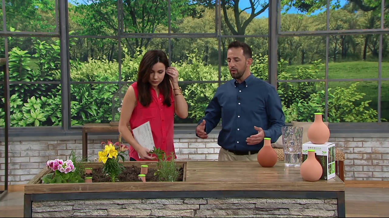GrowOya Set of 2 Terra Cotta Porous Watering System on QVC