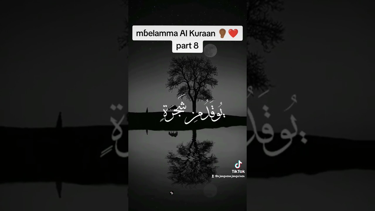 part 8 #pulaar #senegal #pulaar_fulbe #mauritania #quran #quranrecitation #minshawi #minshasworld