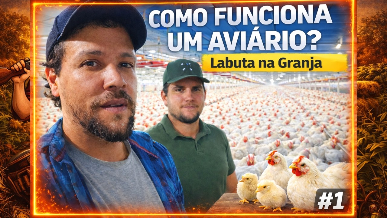 Entramos Dentro de um Aviário de Frango… Olha Isso! | Labuta na Granja #1