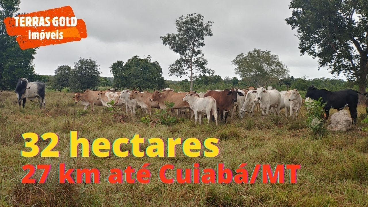 Sítio à venda, 32 hectares, banhado por Córrego, 27km até Cuiabá