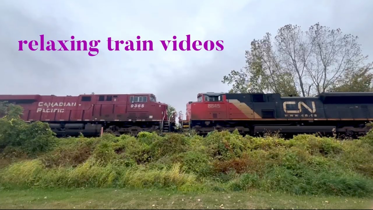 Relaxing Train Videos