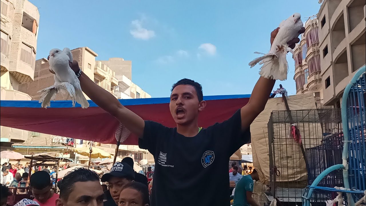 سوق المحله الكبرى 🔥 مزاد على الحمام مفاجاه 😱 مع علي اللمعي