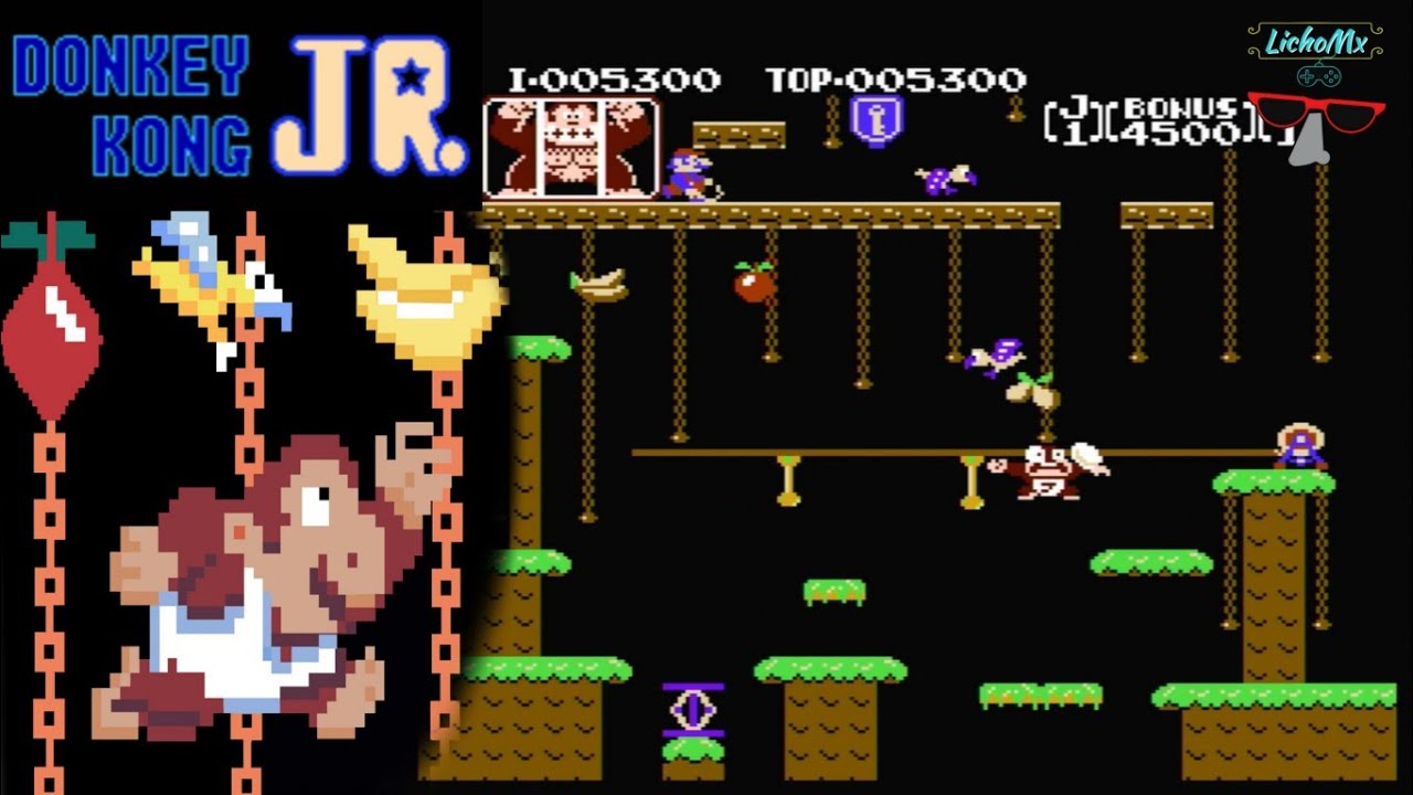 Donkey Kong JR 