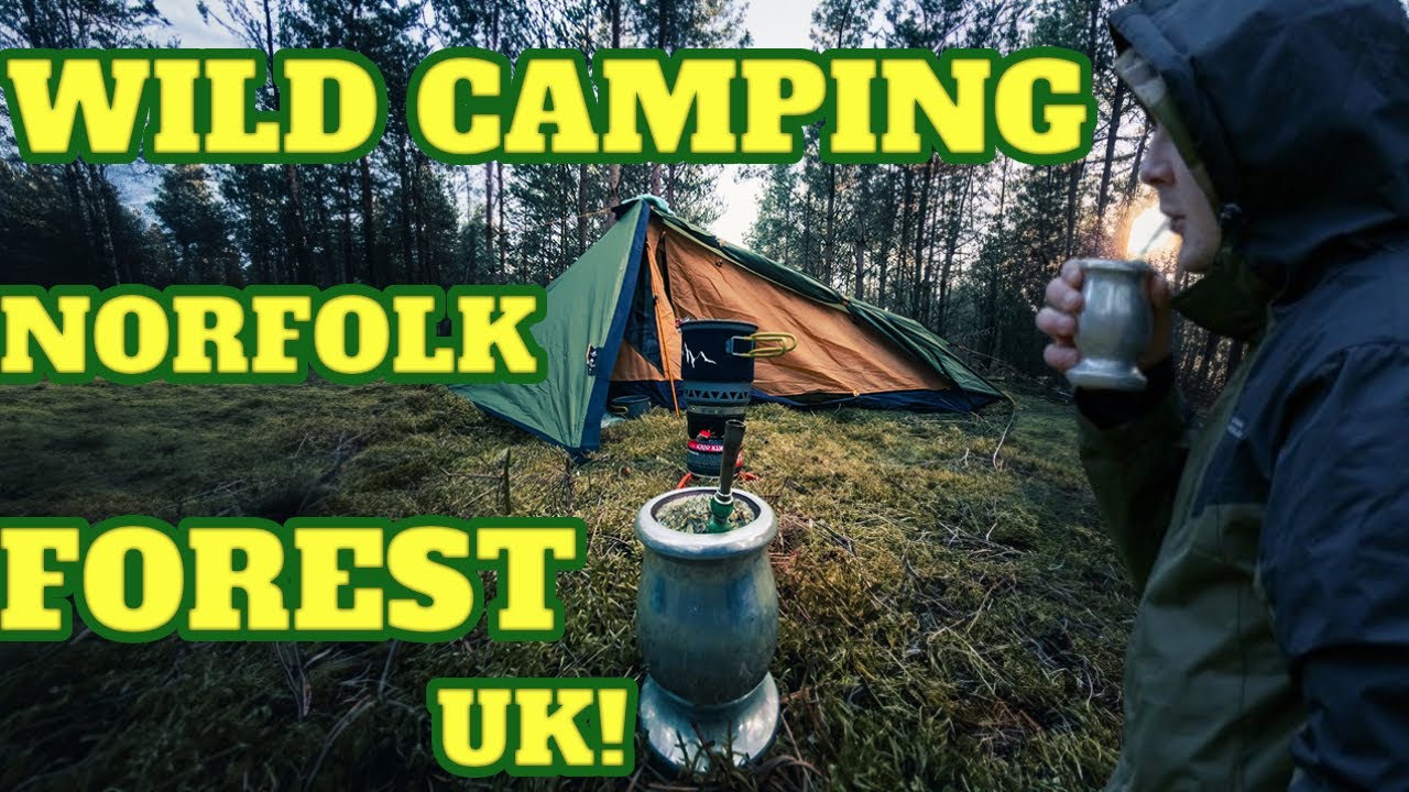 Solo Wild Camping In Norfolk Forest Relaxing in Tent | Enjoying Sound of Nature | WiLdPaW Outside