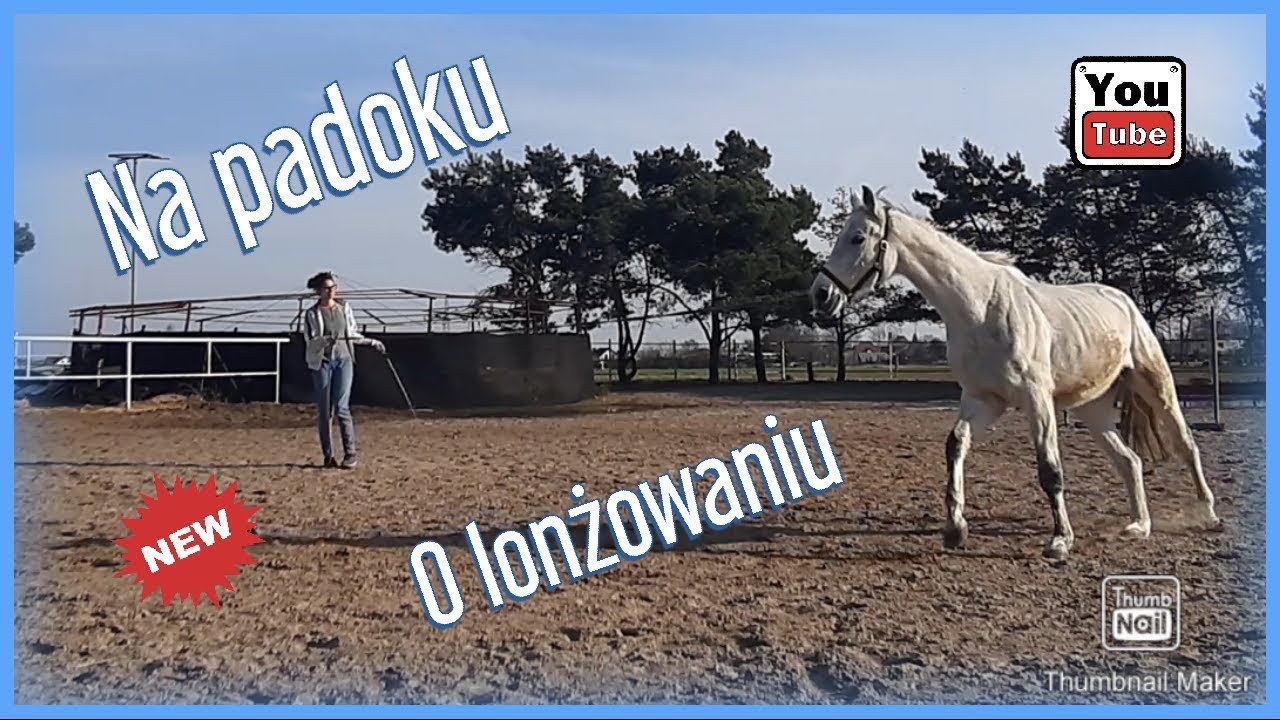Odcinek nr 7 - O lonżowaniu