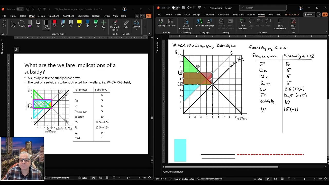 MngEcon 01 05 Subsidy and Negative Externality