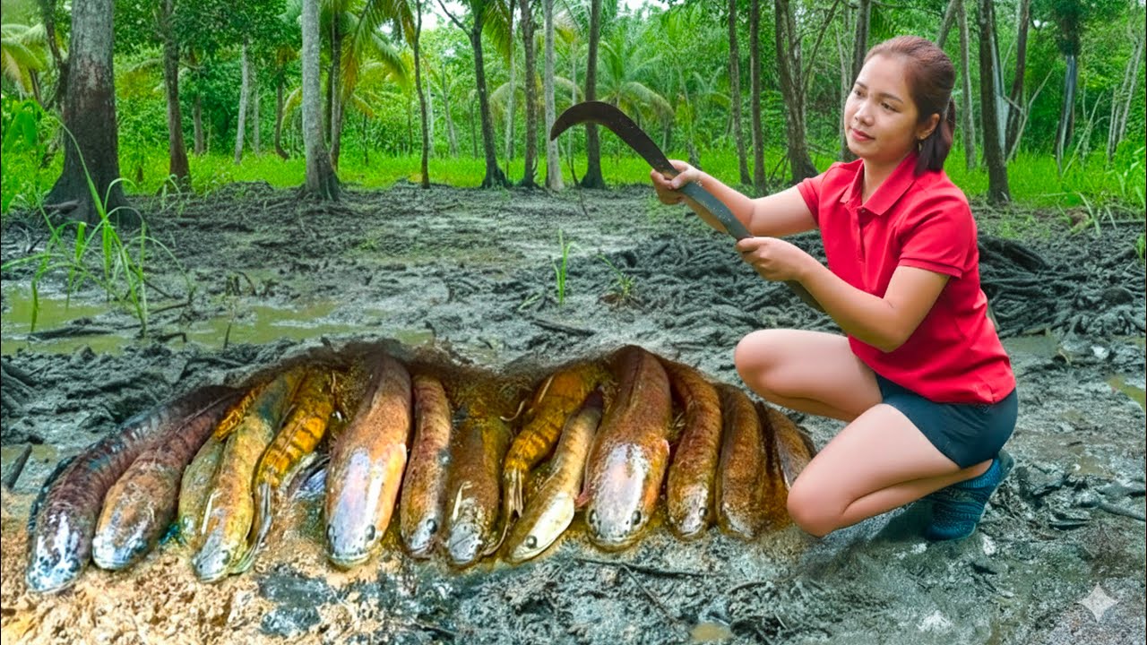 Harvesting Giant Catfish In The Swamp To Sell At The Market, encountering a giant 200kg python