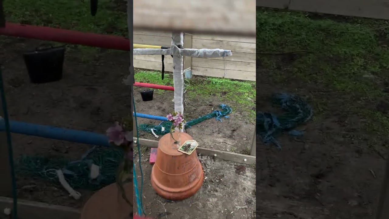 4 órára beharangozás a saját harangommal.