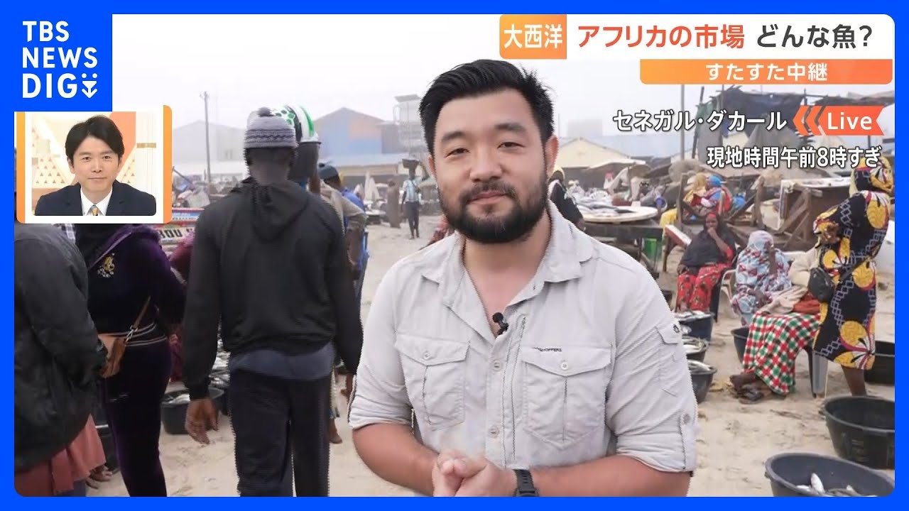アフリカ最西端　セネガル・ダカール「青空魚市場」には何がある？漁師が小舟で100キロ沖で漁をするワケとは？【すたすた中継】｜TBS NEWS DIG