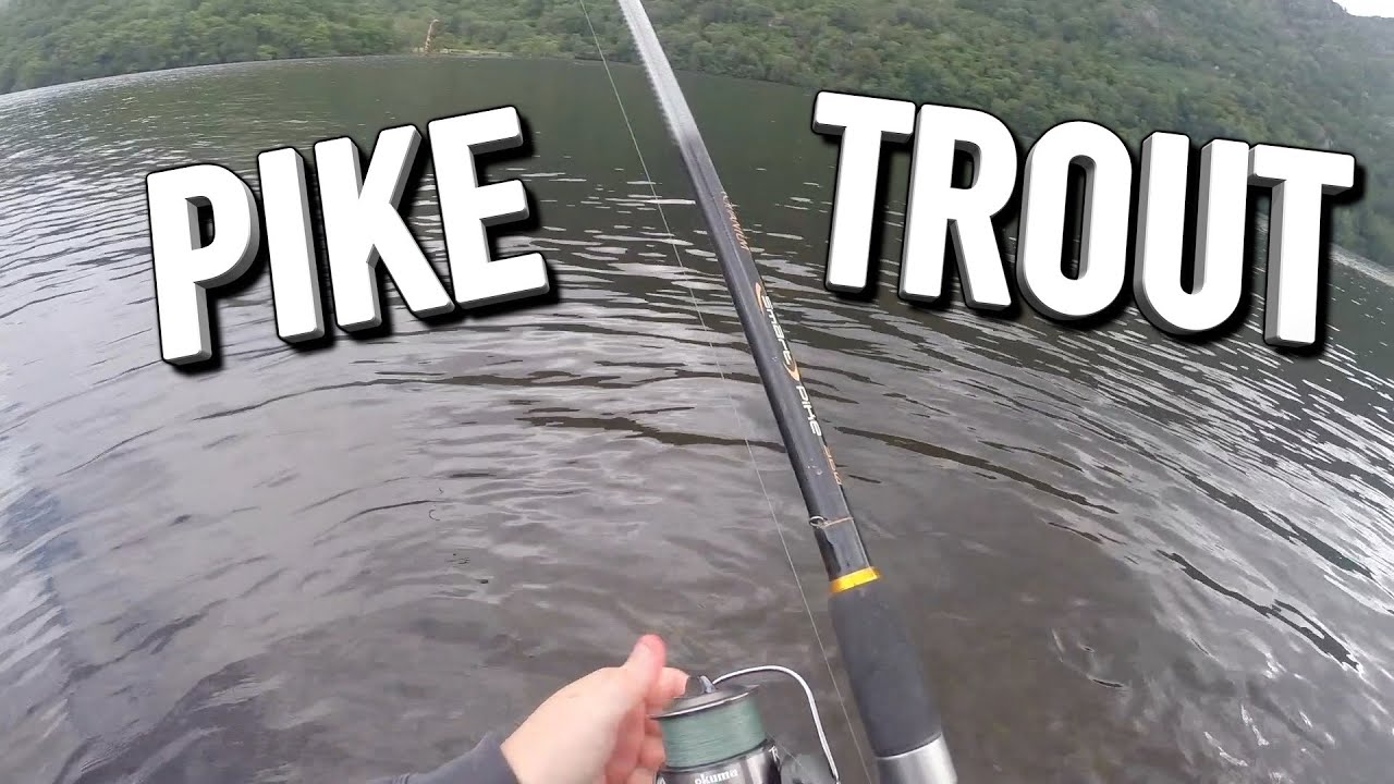 PIKE AND TROUT FISHING LOCH LOMOND: Cant Believe This Happened