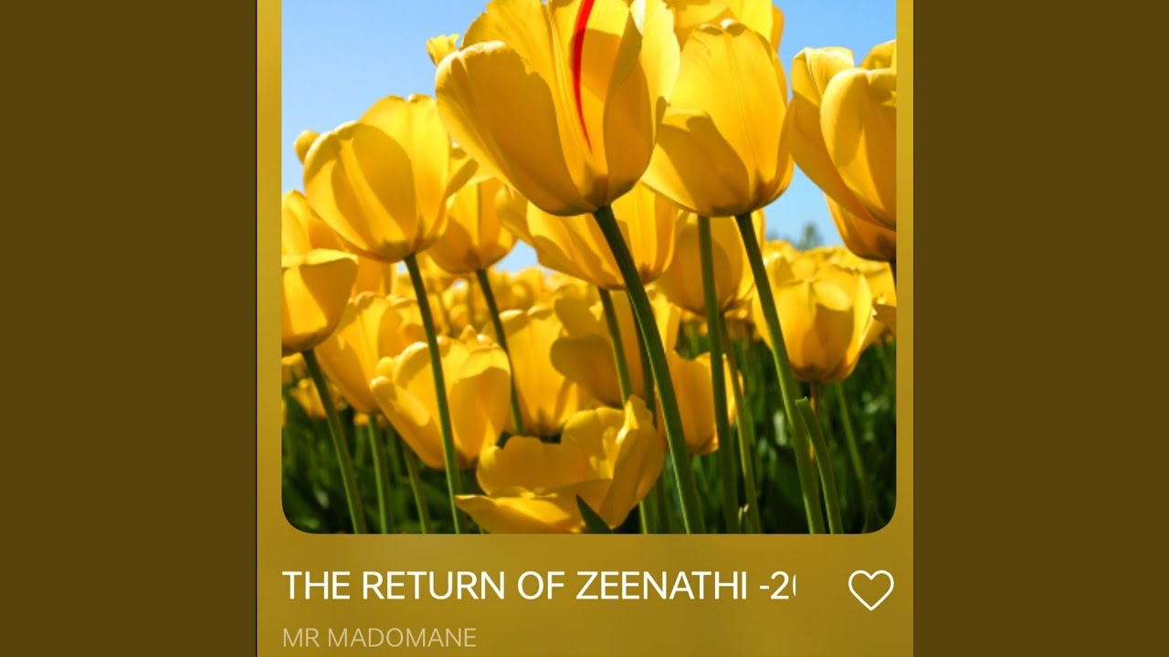 The Return of Zeenathi (by Mr Madomane)