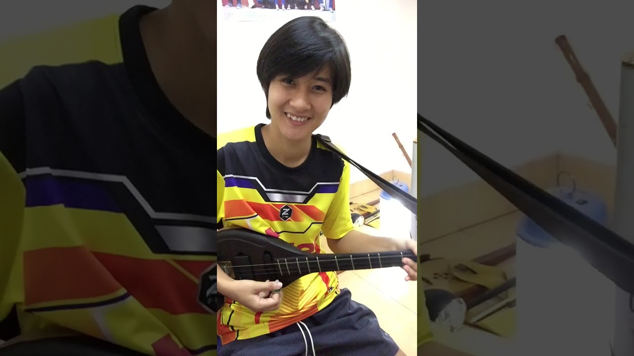 ดีดพิณลายลมพัดพร้าว -นุ่มนิ่ม