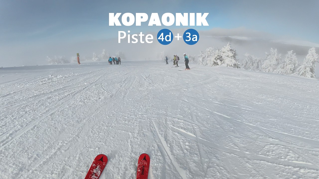 Skiing, Kopaonik, Serbia, February 2026 - Piste Pancicev vrh 4d + 3a Blue