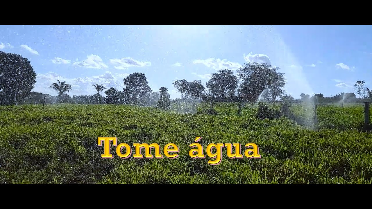 Irriga&ccedil;&atilde;o de pasto 100% na mangueira (Momba&ccedil;a e Braqui&aacute;ria)
