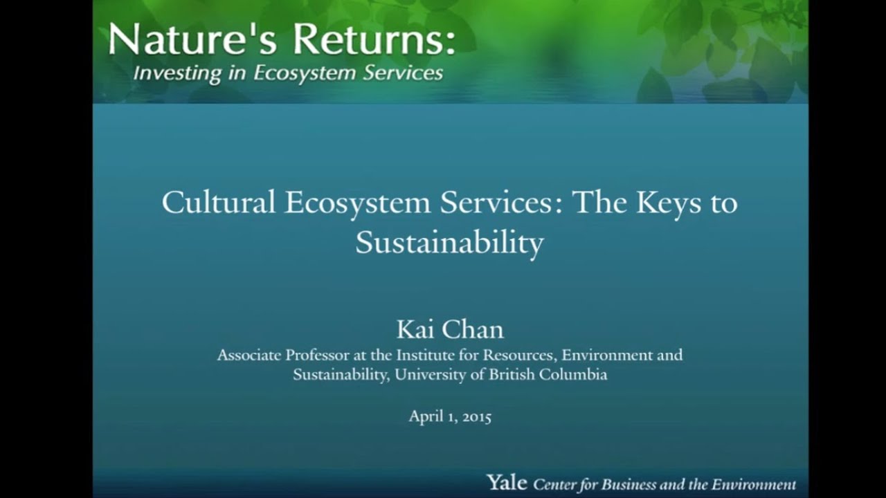 Cultural Ecosystem Services: the Keys to Sustainability