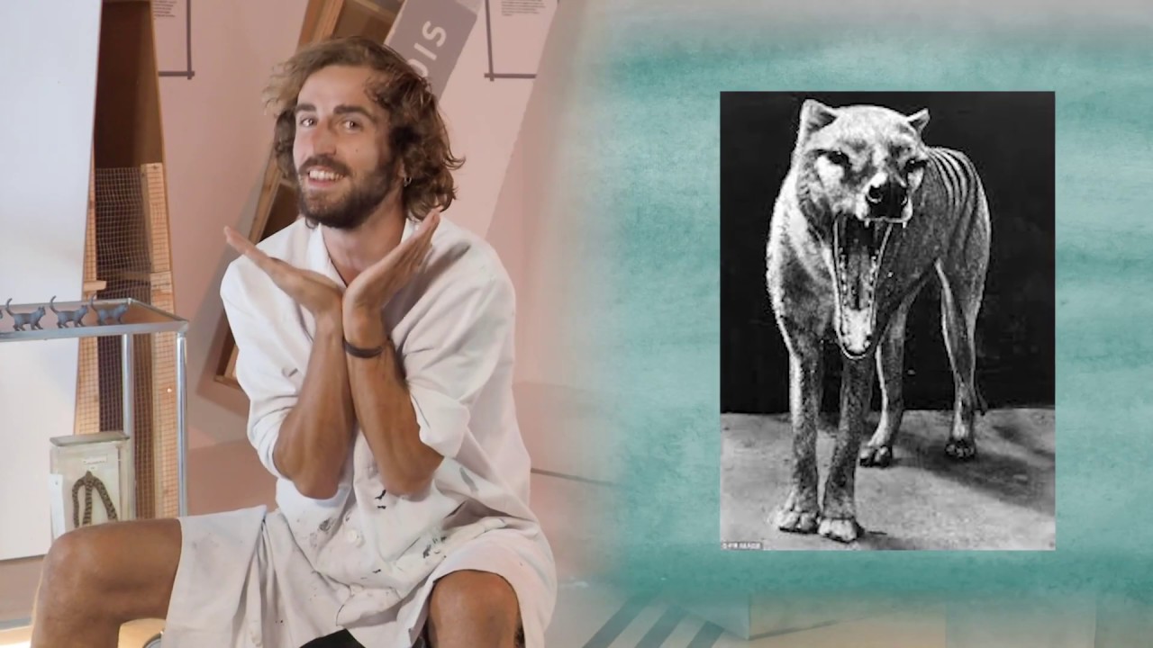 Clone ton thylacine - Collections Bestiales S03 E03