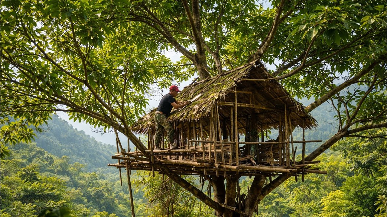 Building a Treehouse High on a Giant Tree | Survival Skills in the Deep Forest