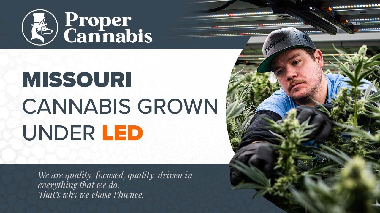 Fluence Innovator | Proper Cannabis Advances the Growth of the Highest-quality Cannabis in Missouri