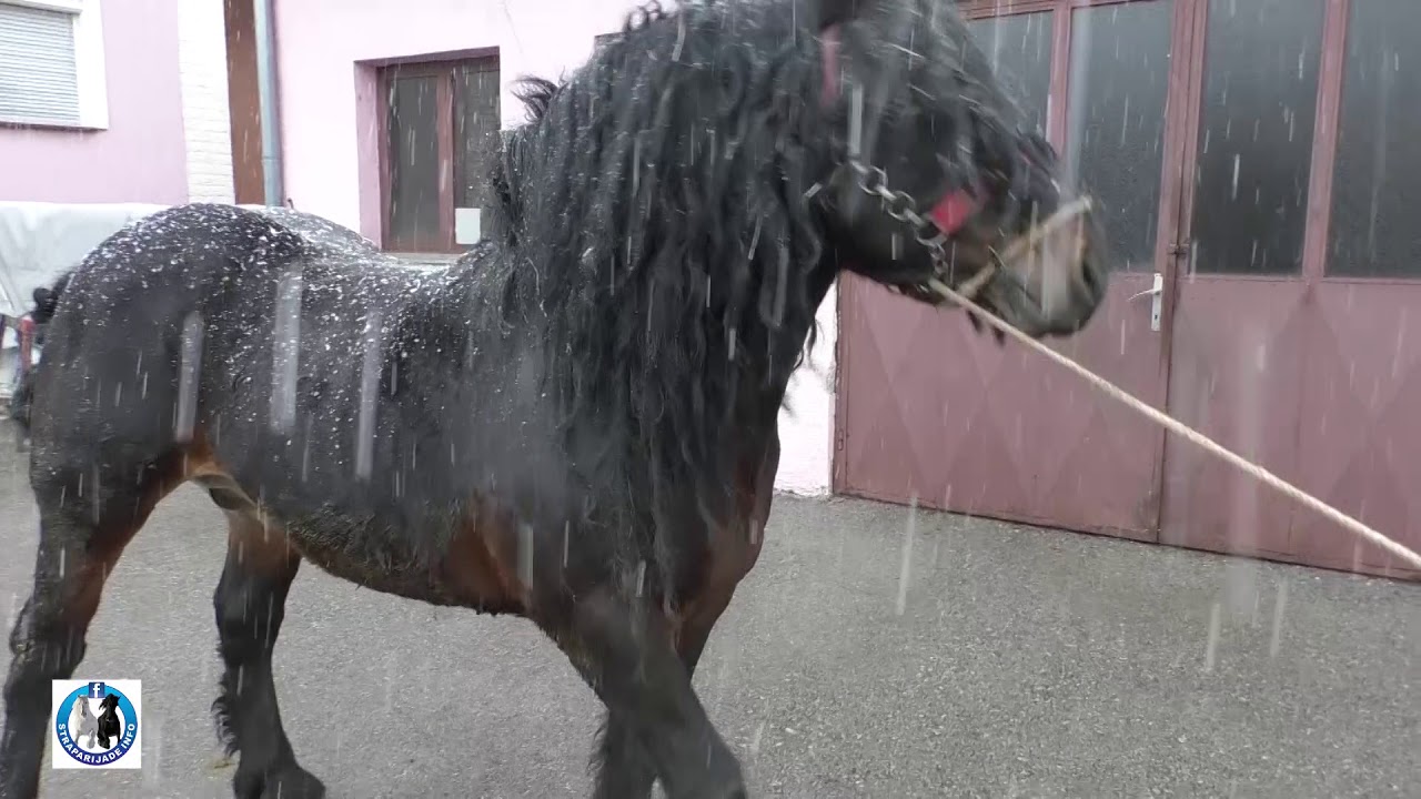 -Domaćinstvo Stolneković iz Sv.Klare kod Zagreba-2018