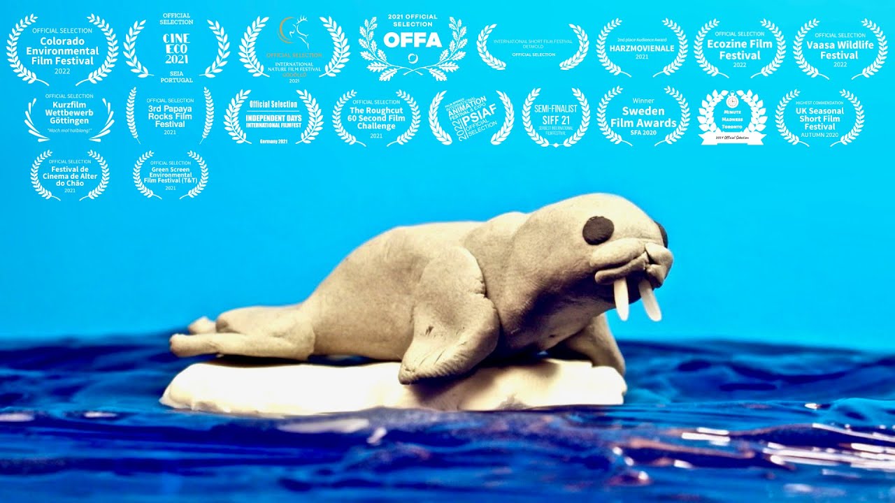 Animals Habitat - Stop Motion Animation | Short Film