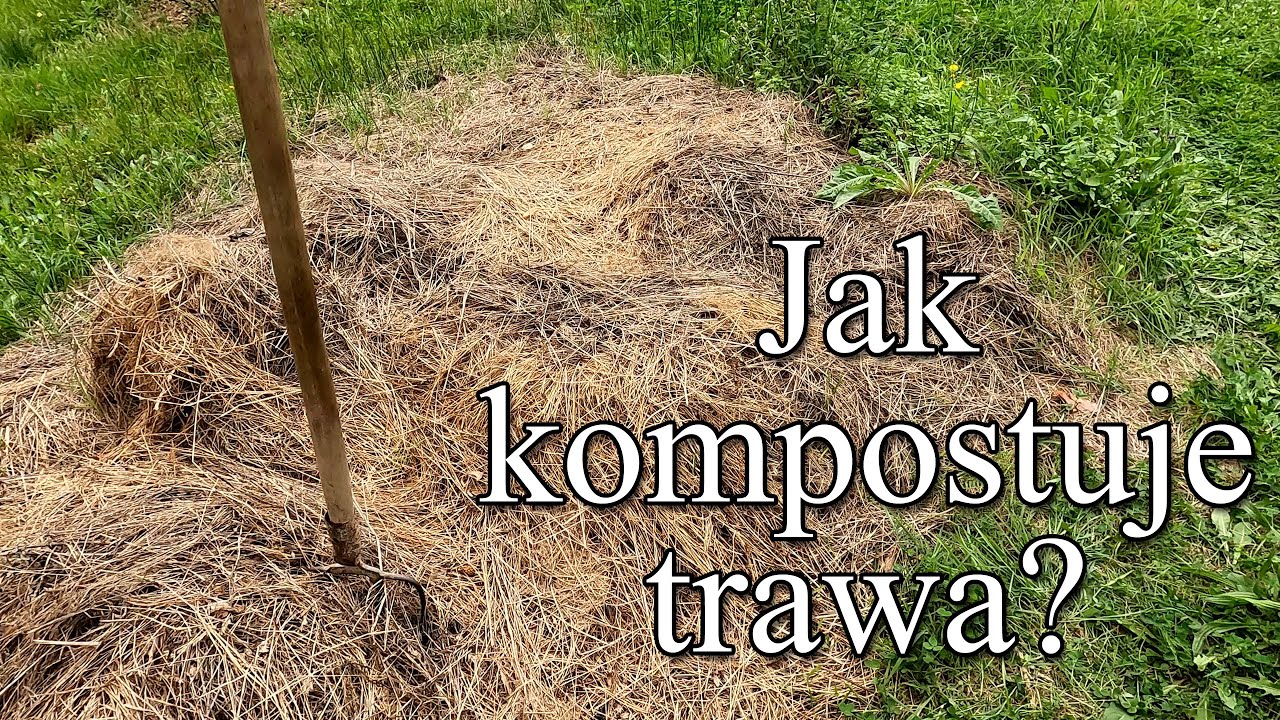 Jak kompostuje trawa? - Ogrodowe pierdamony 174