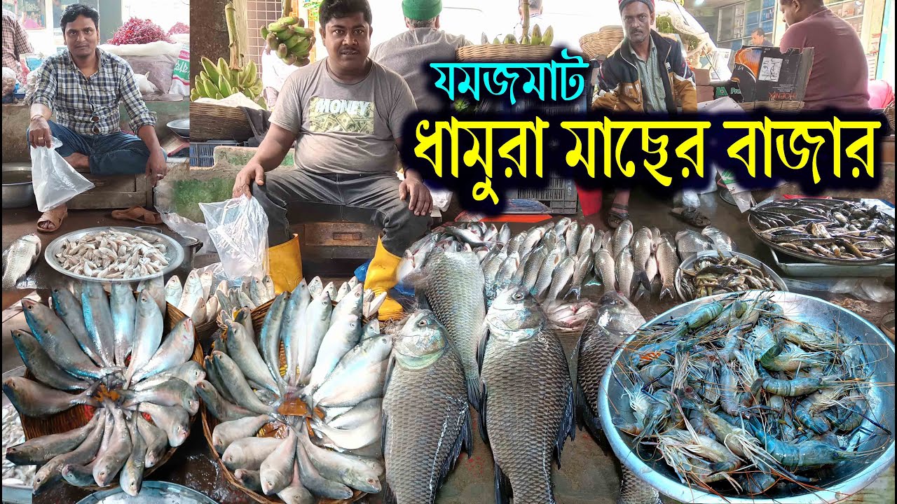 ধামুরা মাছের বাজার উজিরপুর বরিশাল II Dhamura fising bajar Uzirpur Barishal in Bangladesh
