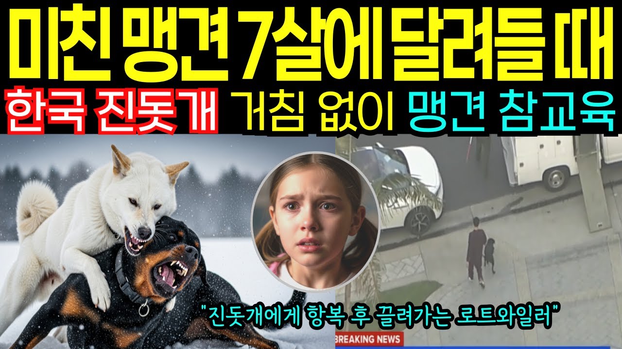 한국 진돗개 7살 딸 구하려고 미국 맹견에게 돌진! 충격적 결말에 북미 전역 발칵 [해외감동사연]