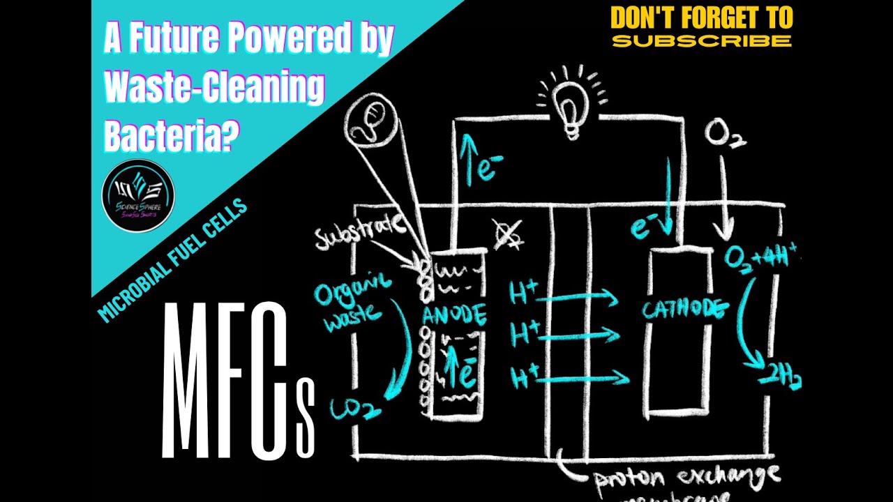 Microbial Fuel Cells Explained