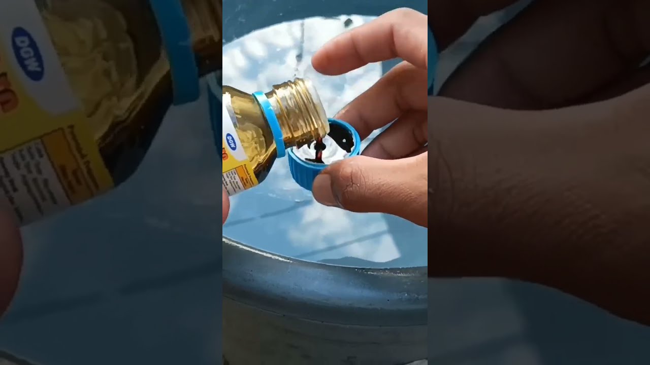 obat daun keriting untuk cabe Terbaru