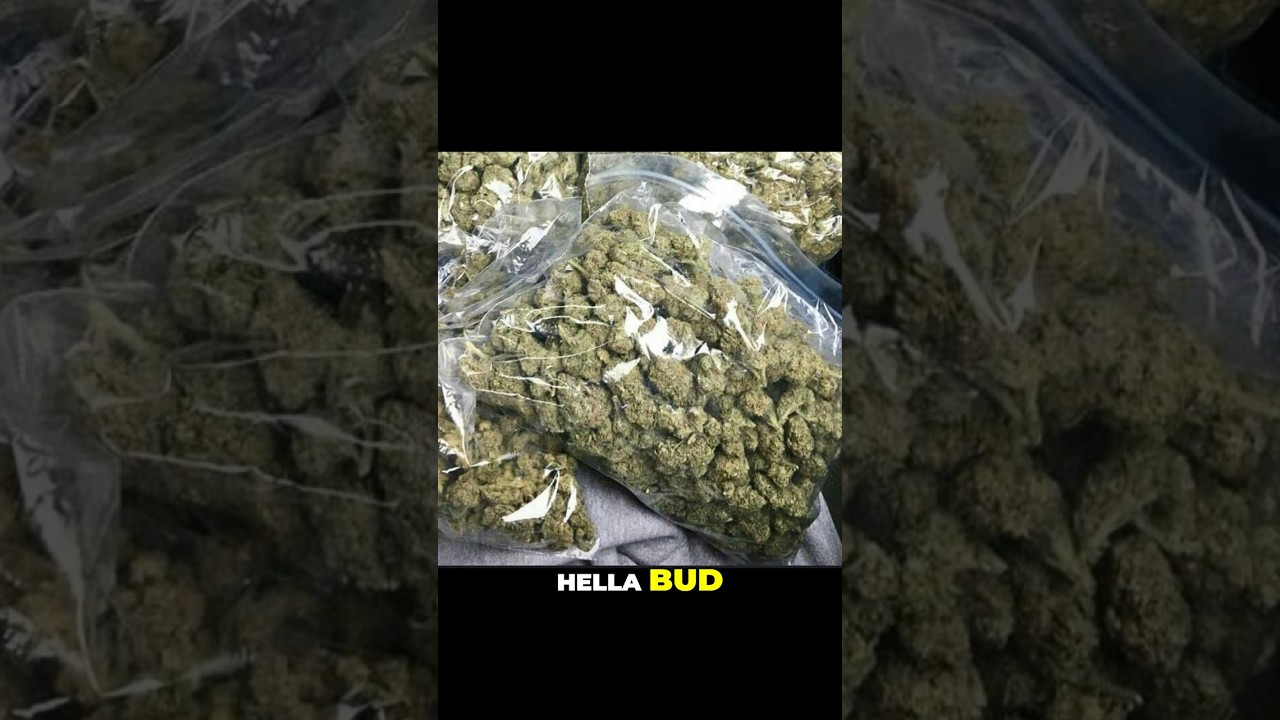 How I Started Selling Weed As A Teen