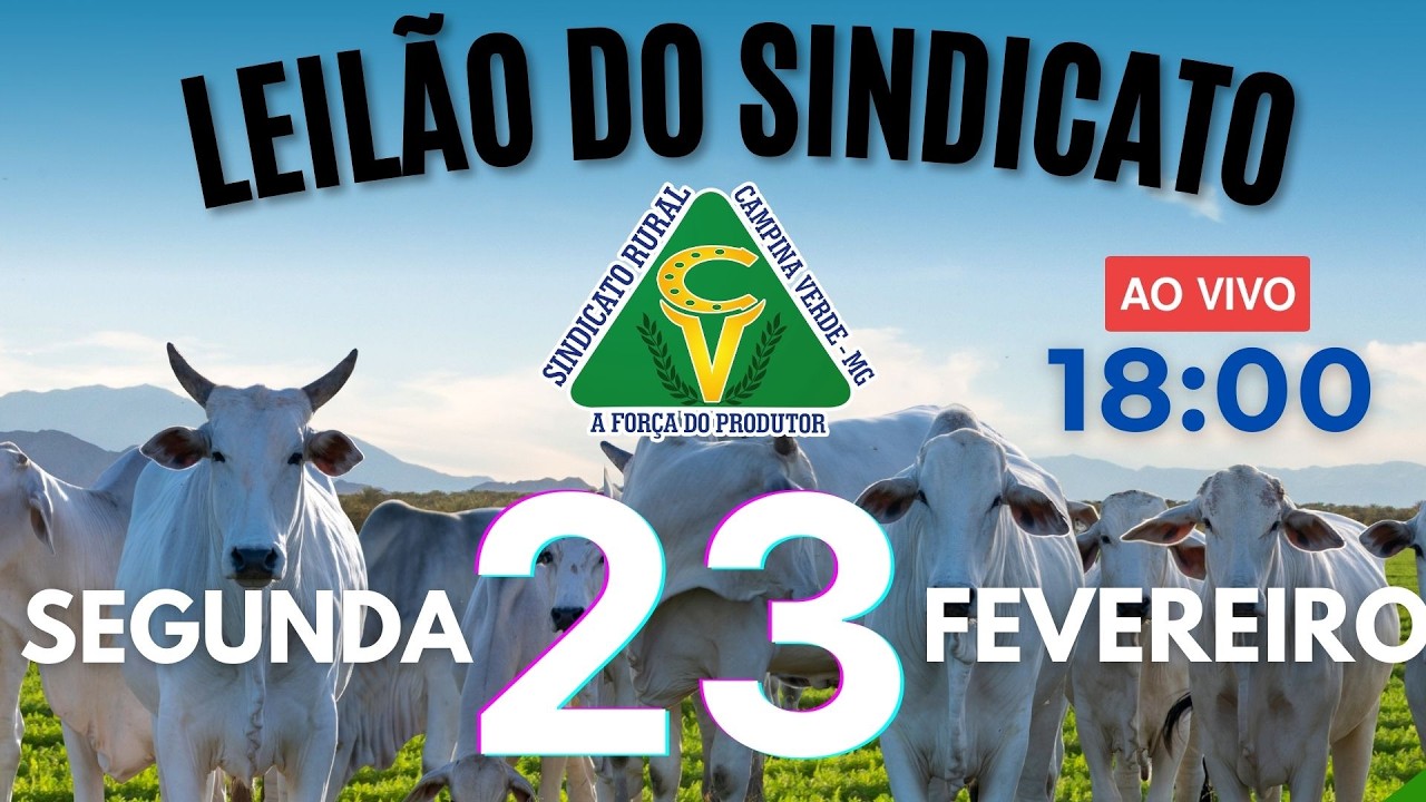 Leilão Sindicato Rural Campina Verde - 23 de Fevereiro 2026