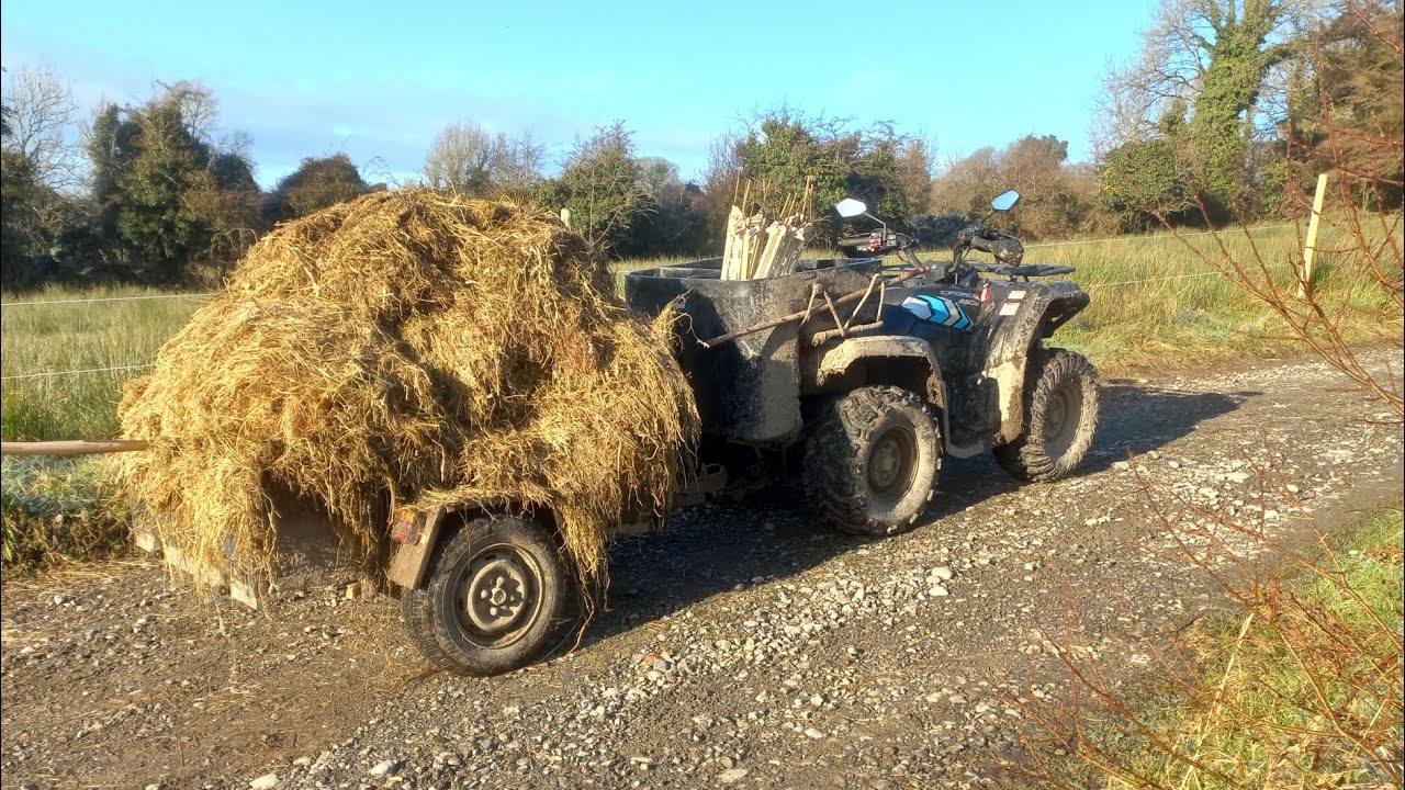 Ah shiit .I'm full of it when outwintering cattle in Ireland the regenerative farming way