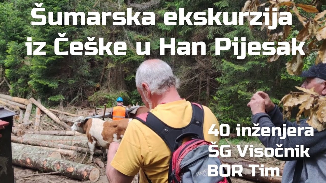 &Scaron;umarski inženjeri iz Če&scaron;ke u Han Pijesku | &Scaron;G Visočnik | Bor Tim | &Scaron;umarstvo | Gor&scaron;tak