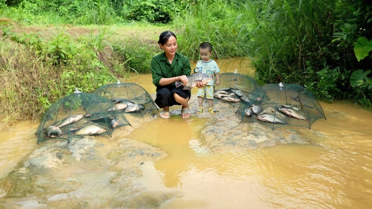 A Single Mother Sets Fish Traps in the Flood to Earn Money for Her Son in a Rural Village