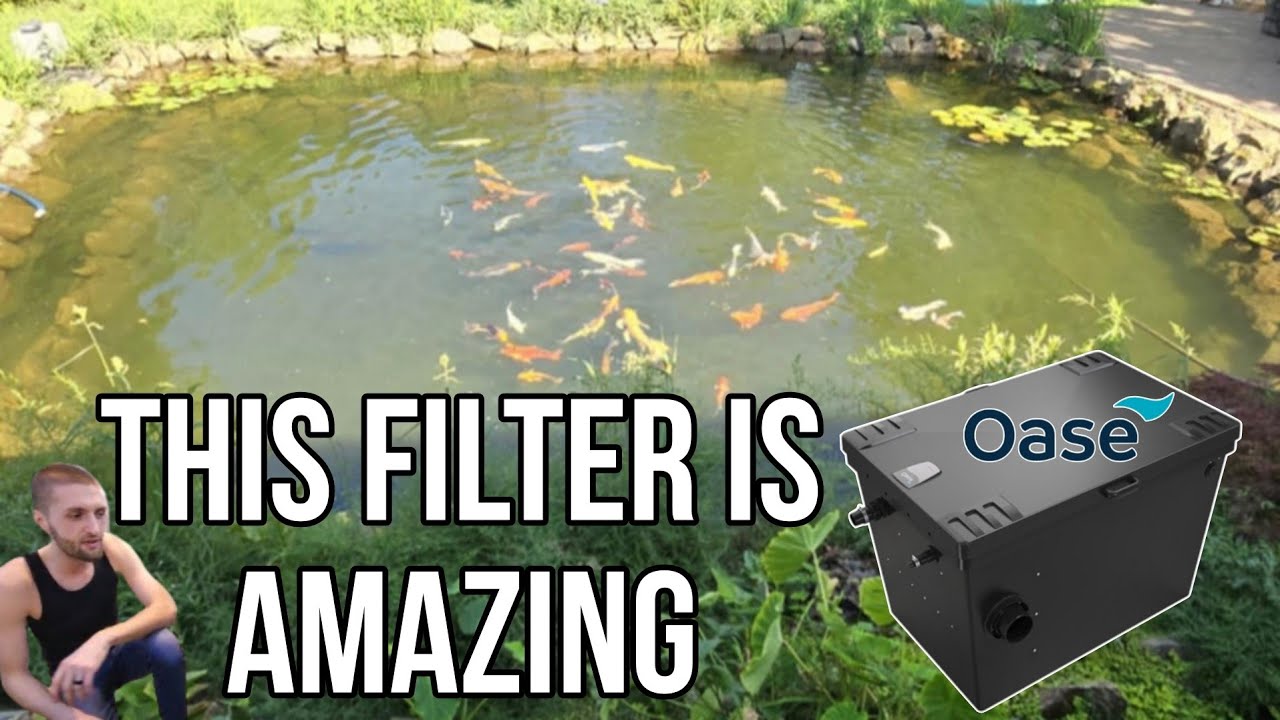 This Might Be the Best Filter box that I own!!