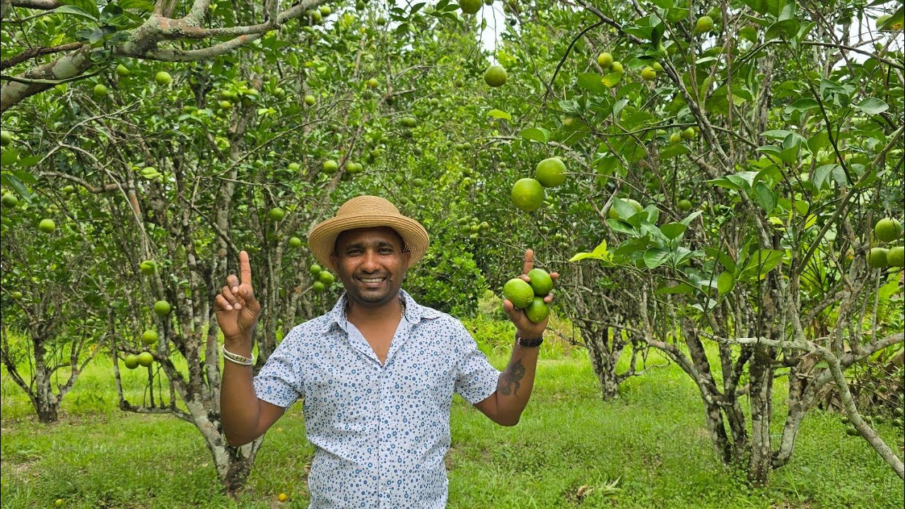 AMAZING DAY ON A FARM.. APPLE AND GRAPES PICKING... GUYANA ON THE RISE..