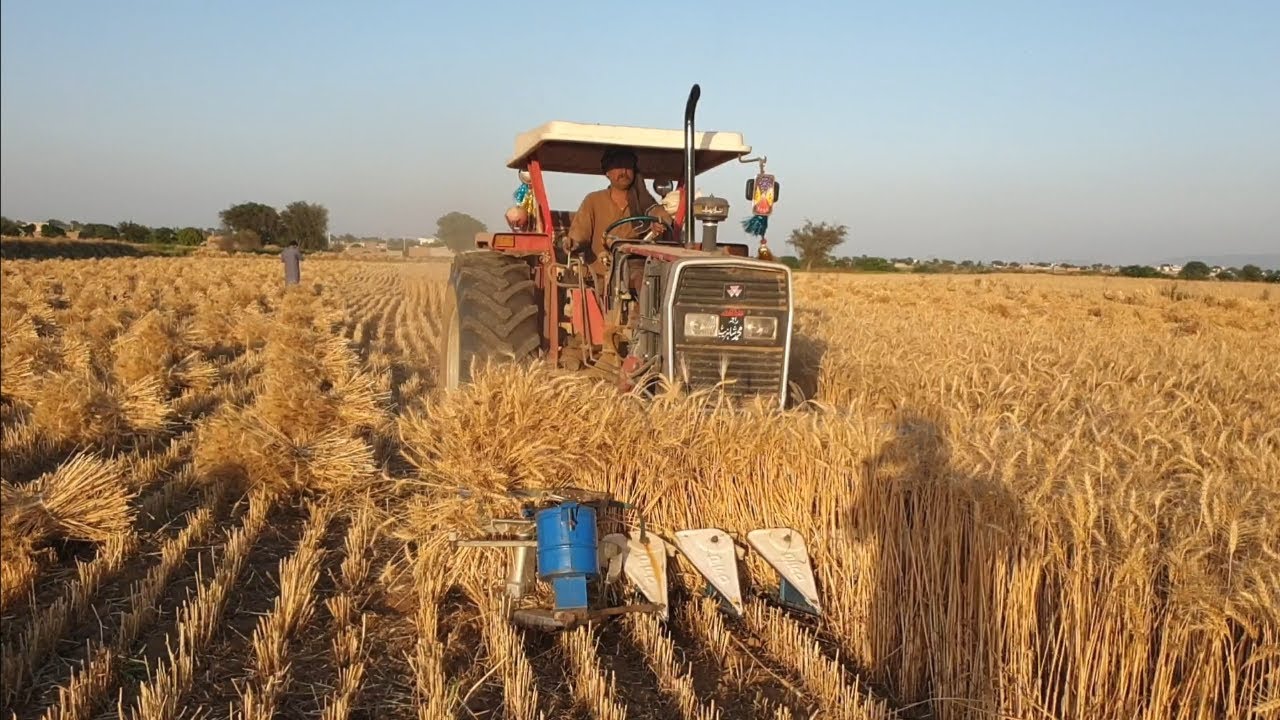 Made in Pakistan Reaper Plus Binder | Massey Ferguson 385