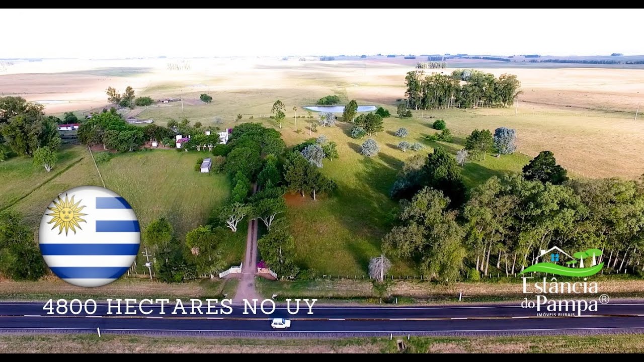 FAZENDA À VENDA NO URUGUAI COM 4800 HA