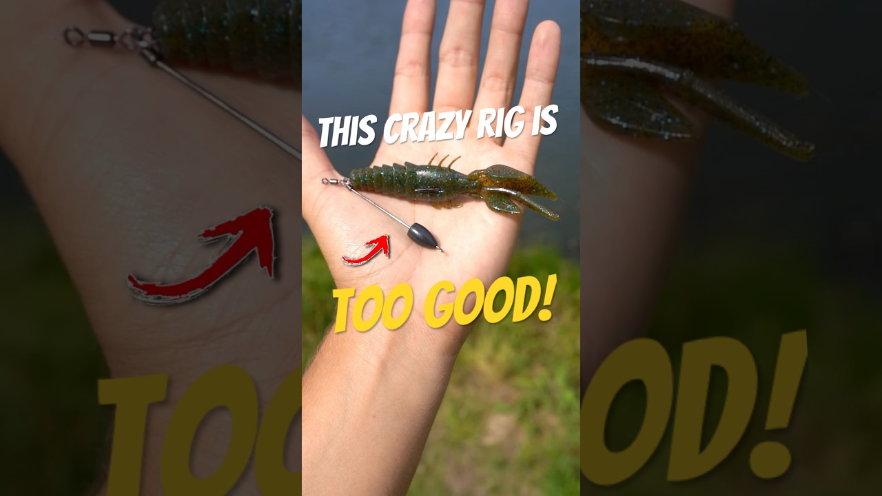 Bass Fishing&rsquo;s Most UNIQUE Rig 🎣🔥 (Tokyo Rig) #fishing