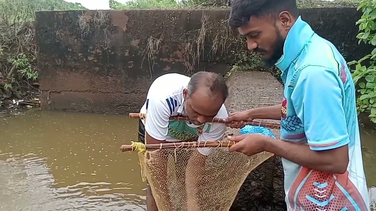 पहिल्या पावसातील चढणीचे मासेमारी