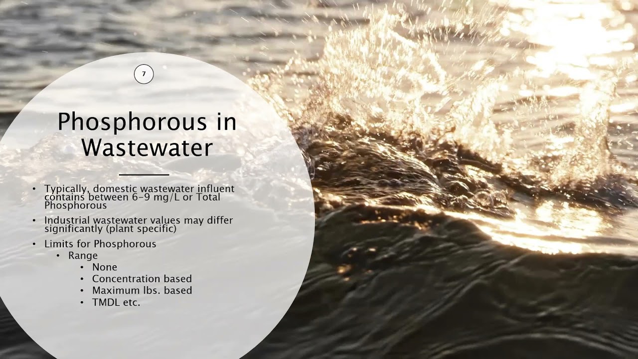 Wastewater Biological Phosphorous Removal