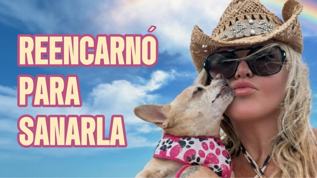 🐶 Volvió del CIELO porque su MISIÓN no terminó ✨ (CASO REAL)