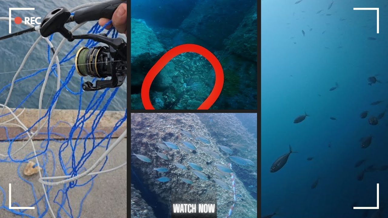 Çandarlı Liman | Oltamı kurtarmak için 50Mt derinliğe insta360 ace pro ve geri görüş kamerası saldım