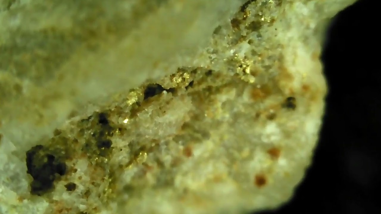 Hydrothermal Gold Deposits Under the Microscope
