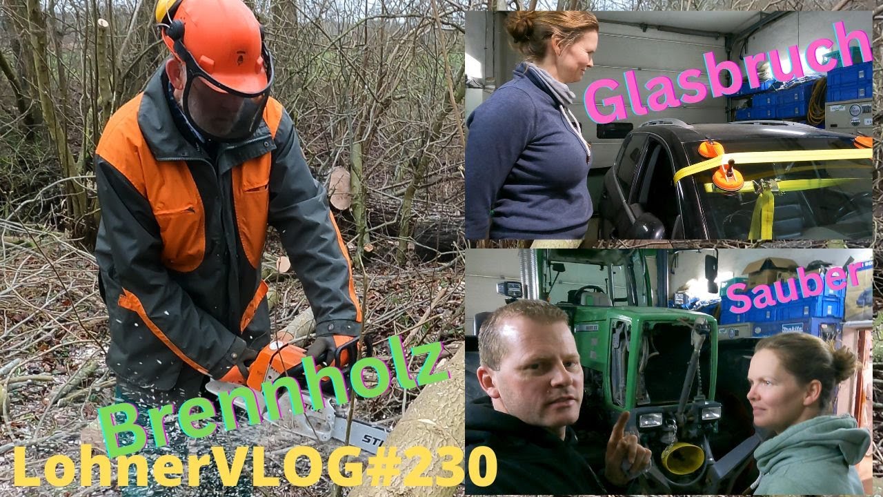 LohnerVLOG#230 Brennholz mit Stihl MS 260, Kramer Kontrollfahrt I VW Touareg Frontscheibe tauschen