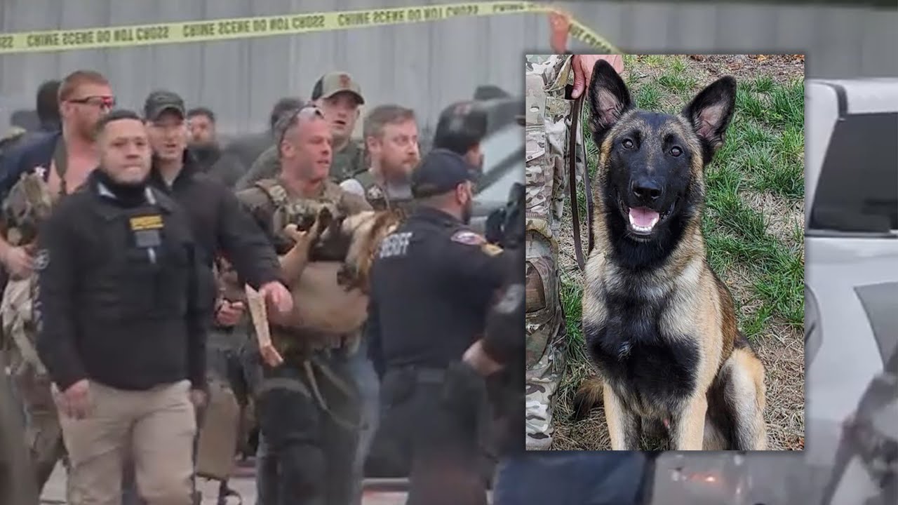 Federal K-9 officer hospitalized after being shot by suspect accused of killing Brazoria Co. deputy